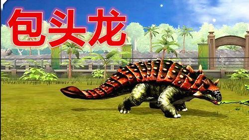 包头龙视频,探寻神秘古生物的传奇故事
